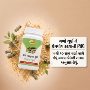 ગળો ચૂર્ણ (Giloy Churna) - Image 3